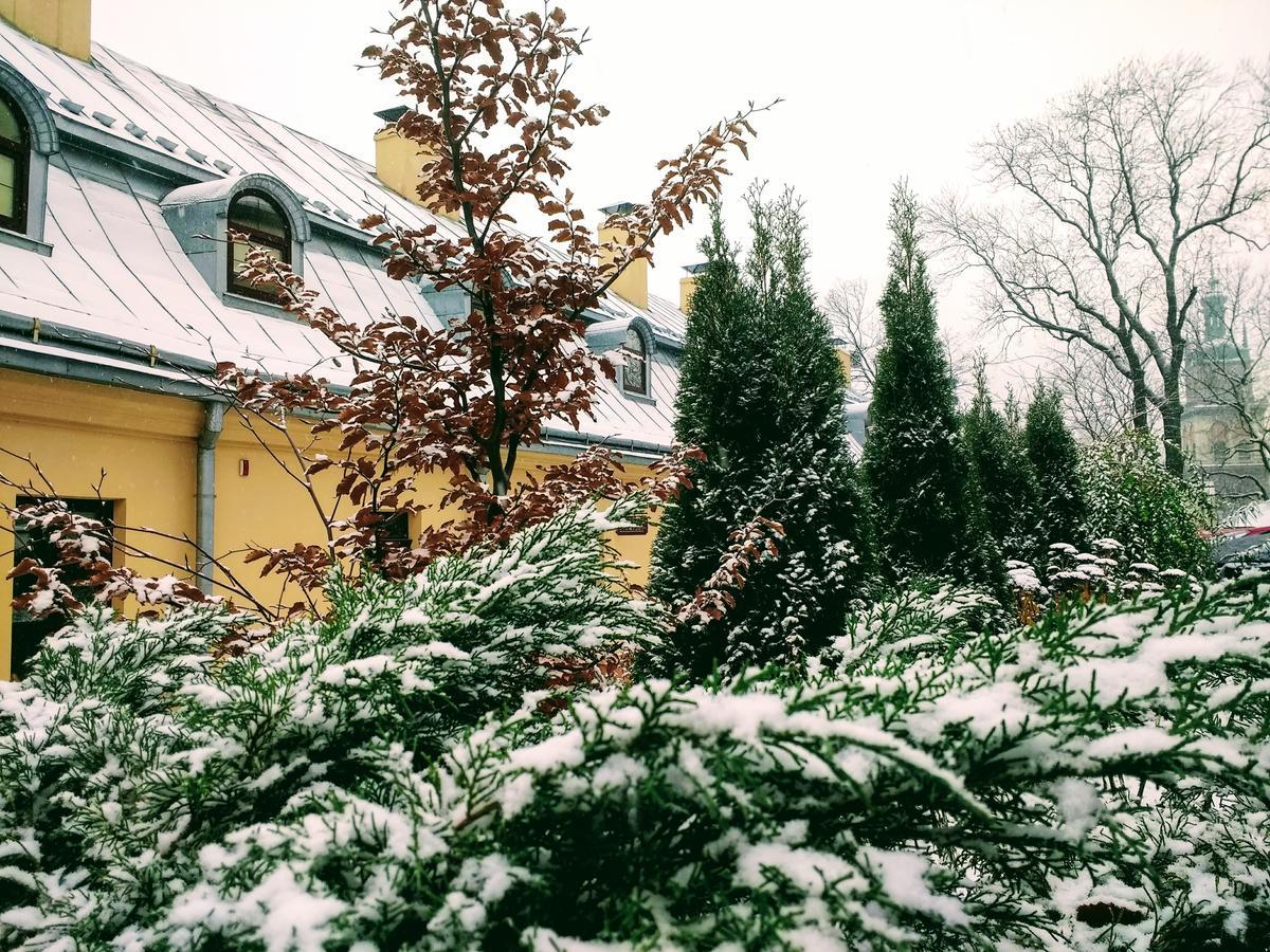 Guest House "Arkhistratyg" 利沃夫 外观 照片